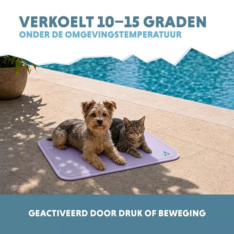 hondenvoer, hondenspeelmat, huisdieren, kat, tuinzwembad