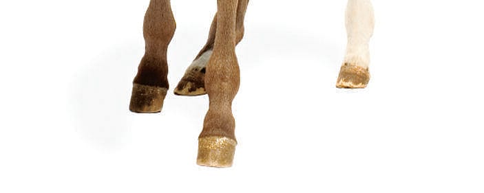 e60fb8fb410ebe7ed2ffe13203ff8b7e