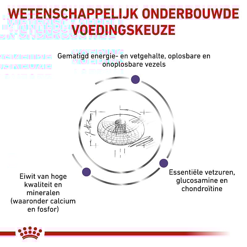 Royal Canin Neutered Junior Large Dog 12 kg