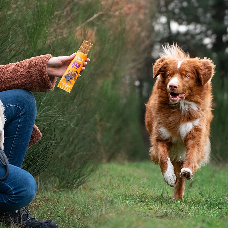 Edgard & Cooper Keep It Up Bar Kip 30 gram