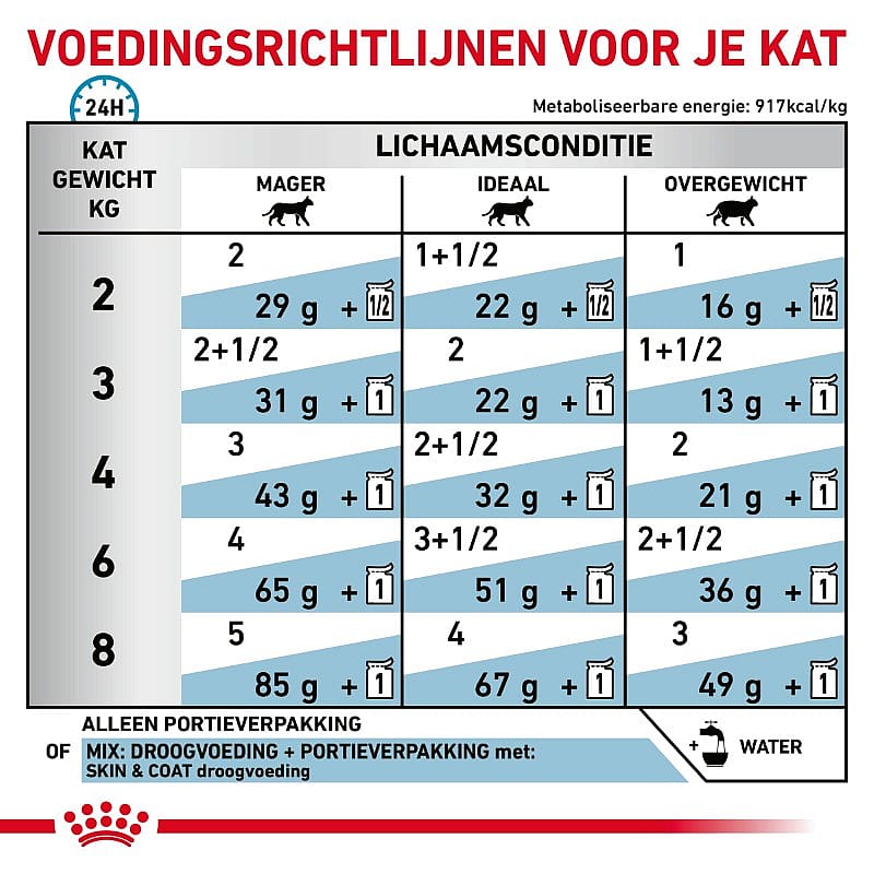 Royal Canin Skin & Coat Kat 12 x 85 gram