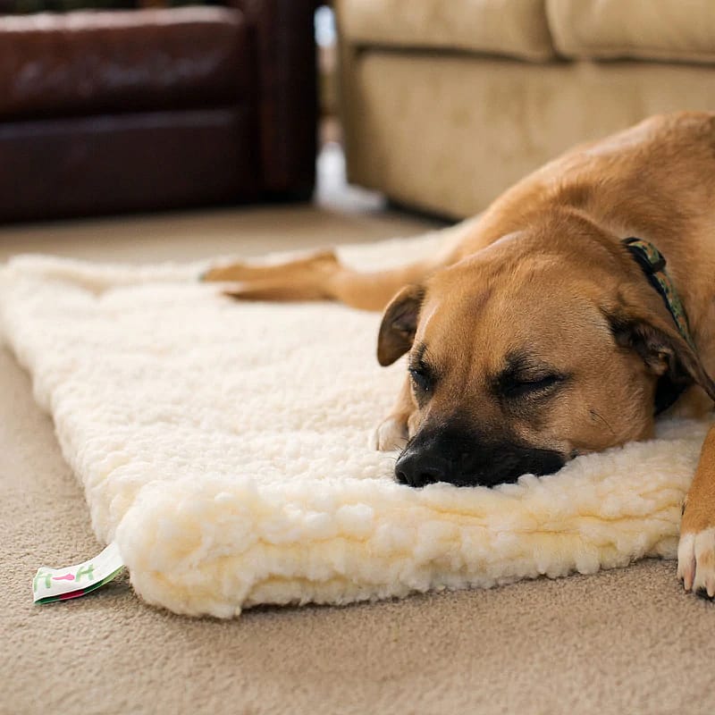 HuggleHounds HuggleFleece Mat Hond Kat