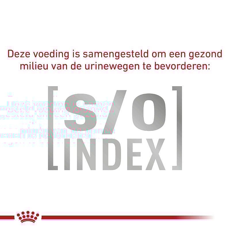 Royal Canin Hepatic Kat 4 kg