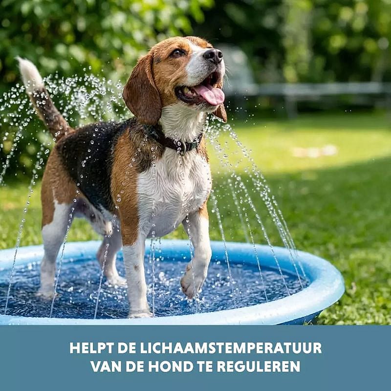 hond, hond in waterslang, speelpot, water fontein, temperatuur regulatie