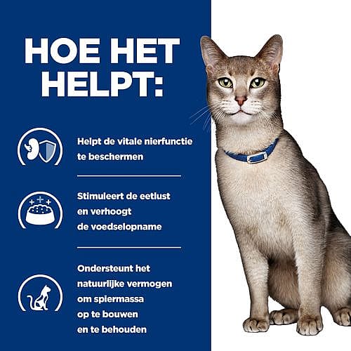 Hill's Prescription Diet KD Kidney Care Kattenvoer 12 x 85 gram maaltijdzakjes - Zalm