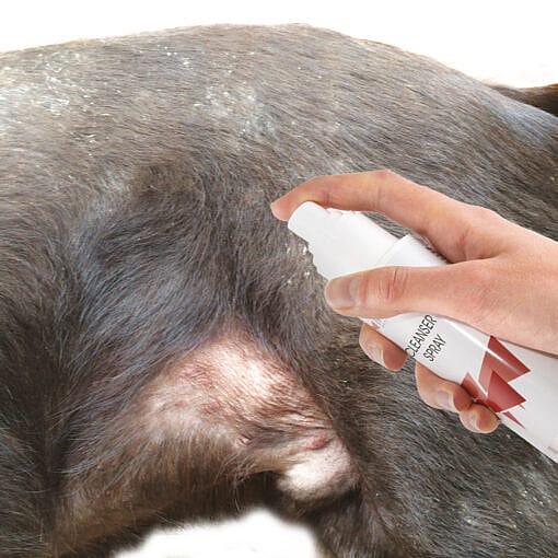 Maxani Cleanser Spray Huid en Wond 150 ml