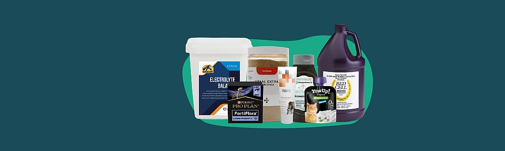 dierenvoeding, kattenvoer, hondenvoer, voerproducten, pakketvoeding, dierenvoer, voedingssupplementen, hondenvoer, kattenvoer, voerverpakking