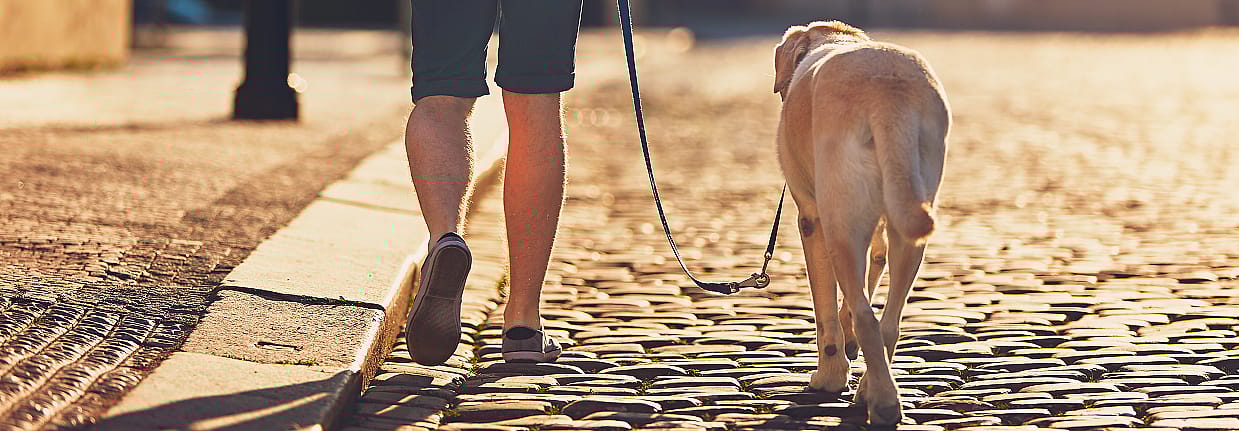 7161ae01af9ff5fb8711db815b433dcb