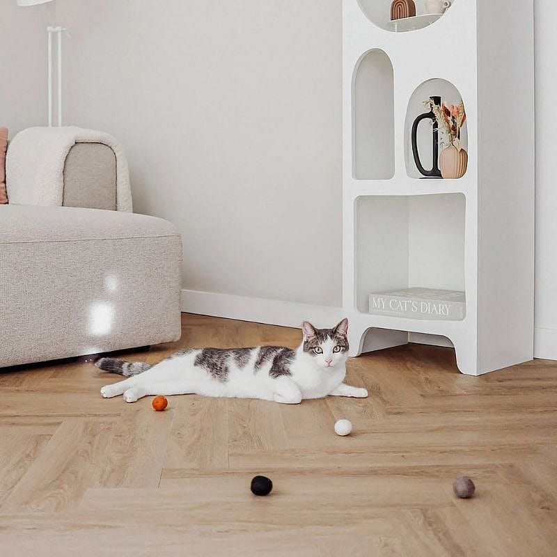 kat, speelgoed, plank, vloer, kast