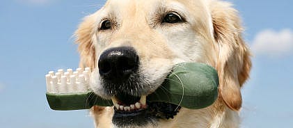 86df1802976323625b83e22fe09575f3