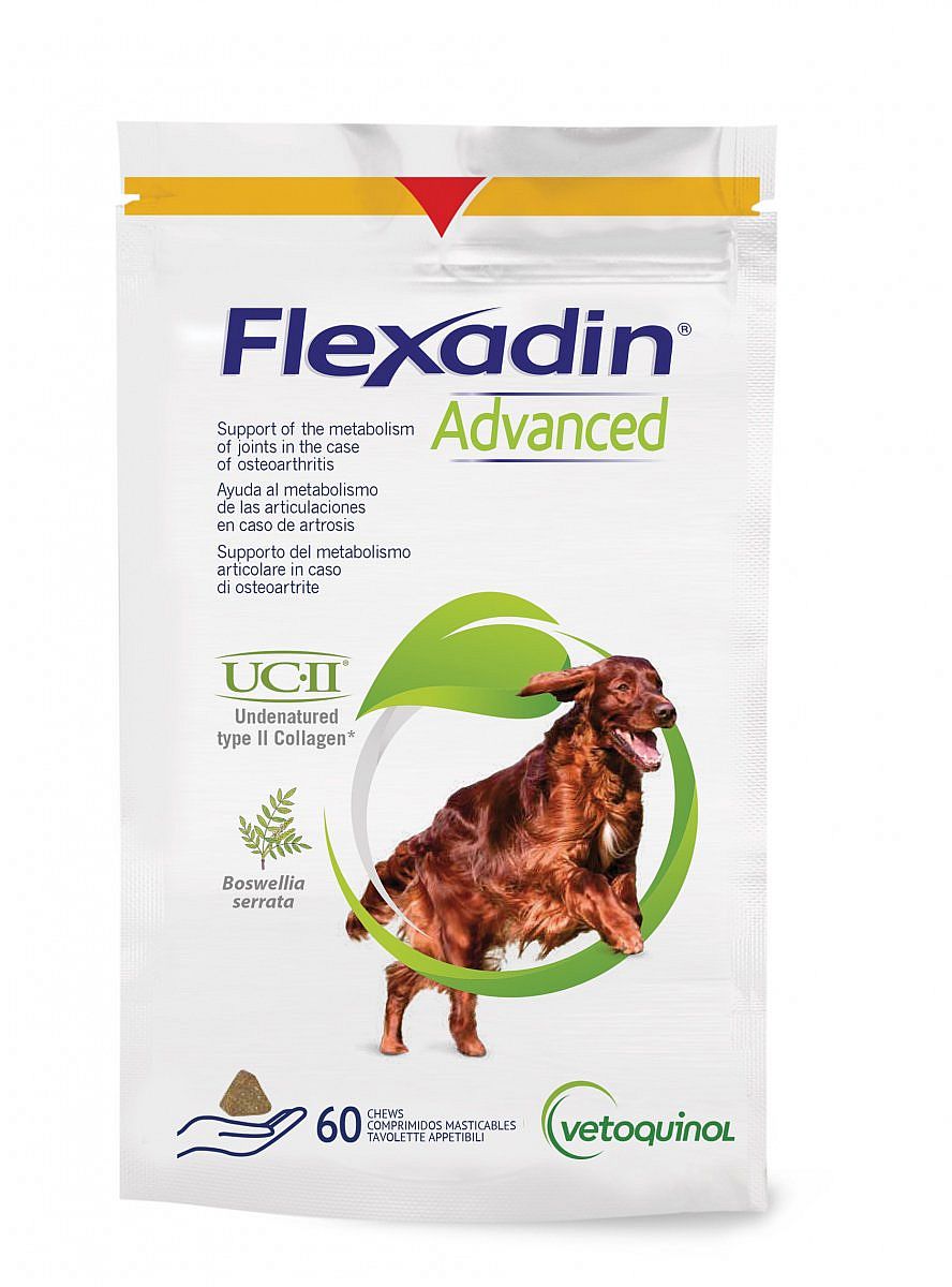 Flexadin Advanced Hond