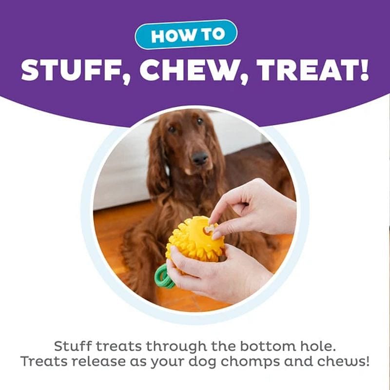 Outward Dental Pineapple Hond