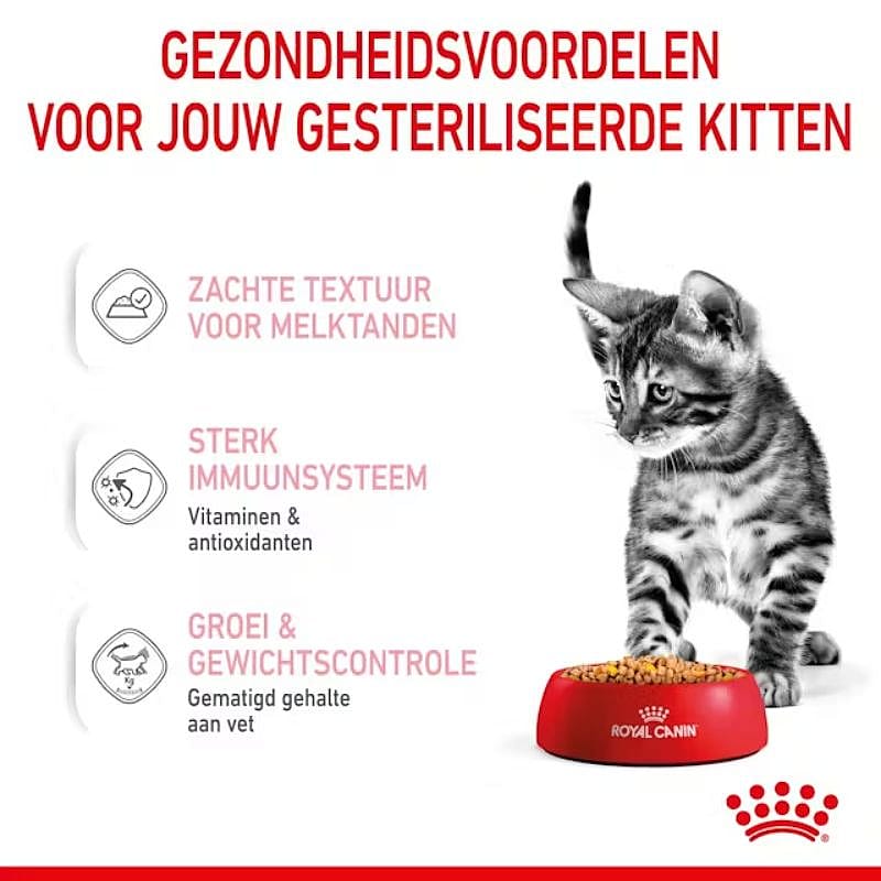 Advertentie, Poster, Kat, Huisdier, Kitten