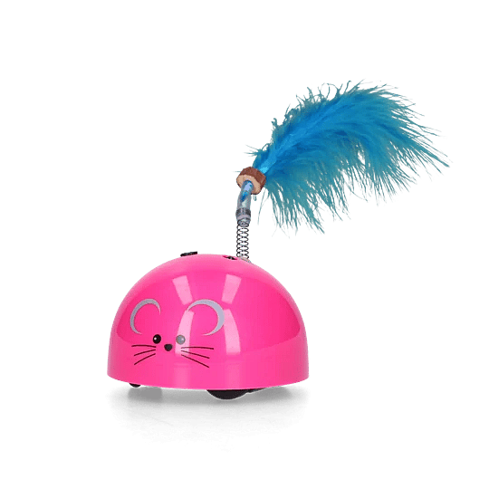 Robocat Mouse Kat Roze