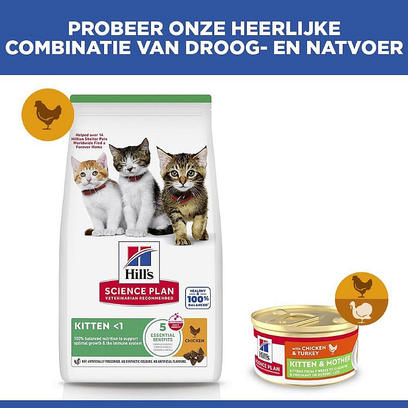 kattenvoeding, kitten, brokje, blikvoer, combinatie