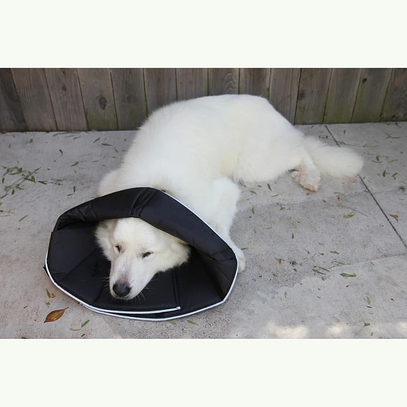 Comfy Cone Hondenkraag X-Small - Zwart