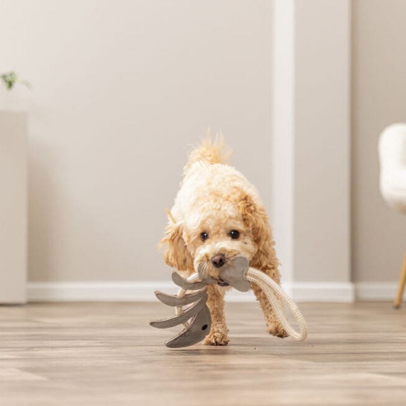 Trixie Visgraat Leer Met Touw Hond