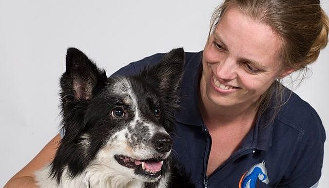 Fysiotherapie voor dieren