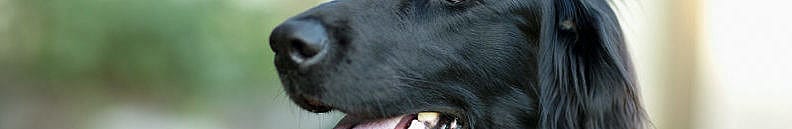 615f213a68fd71bf021ee7d3624e19d0