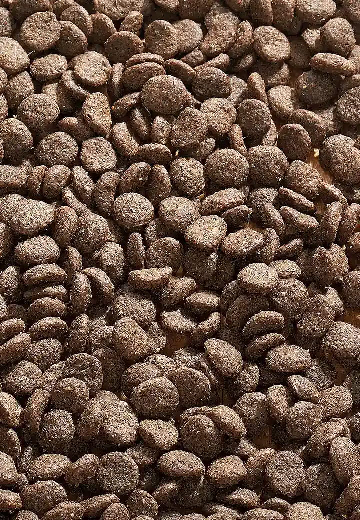 Vet-Concept Cat Allergy Geit Kattenvoer