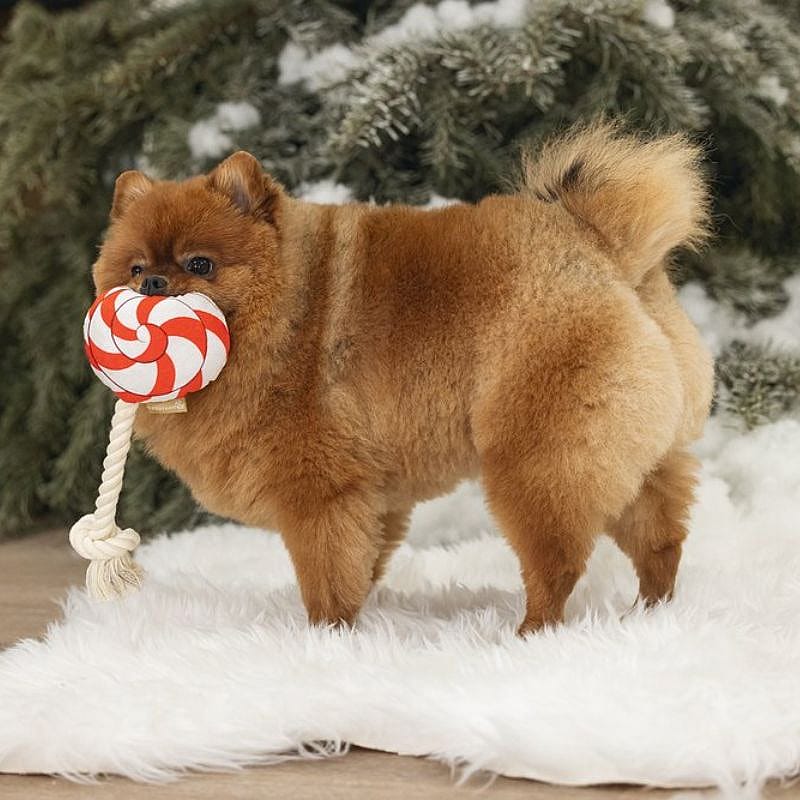 Beeztees Kerst Lolly Pluche Hond