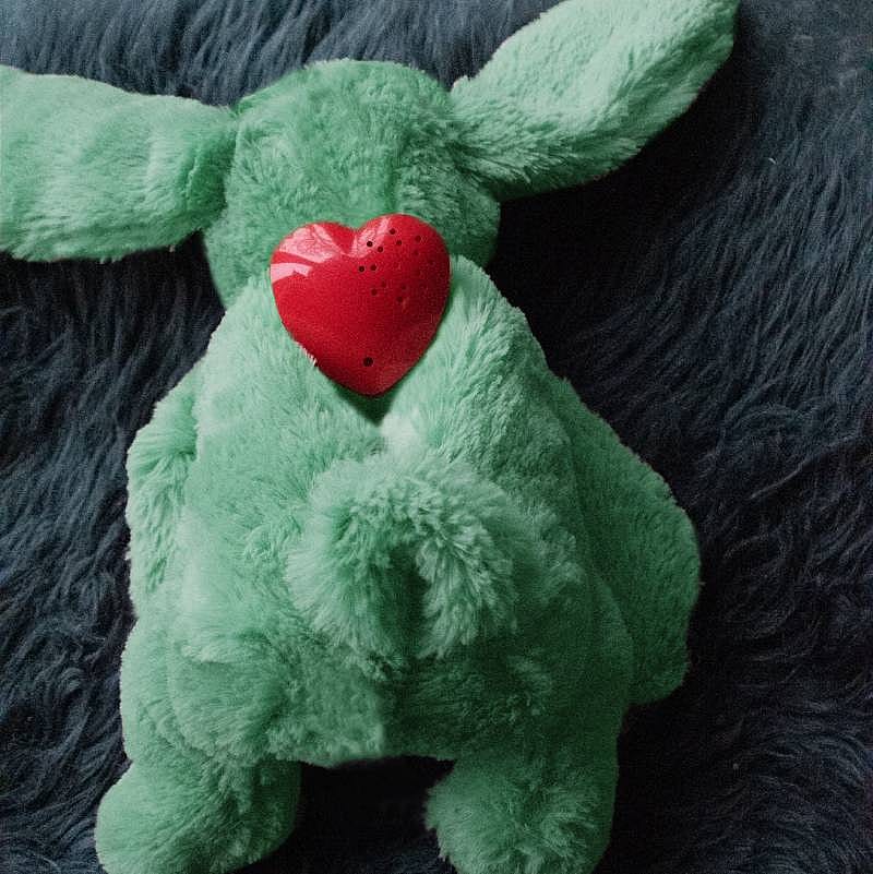 Cozy Dog Bunny Knuffel