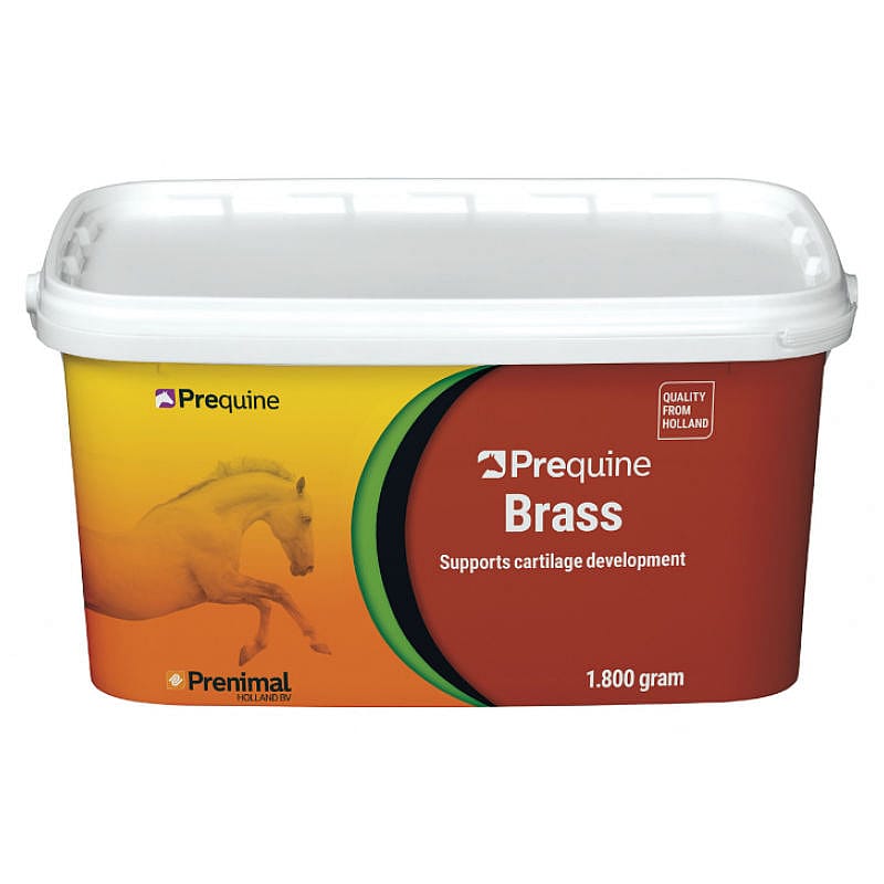 Prequine Brass 1.8 kg