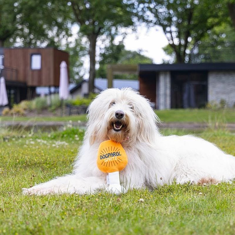 Beeztees Apawrol Pluche Hond