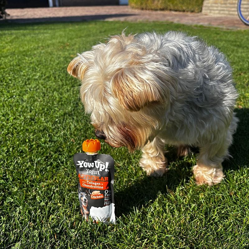 YowUp! Yogurt Articular Hond 115 gram