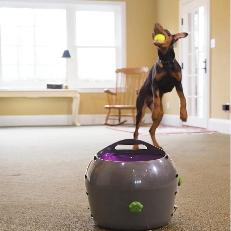 Petsafe Automatische Ballenwerper Hond