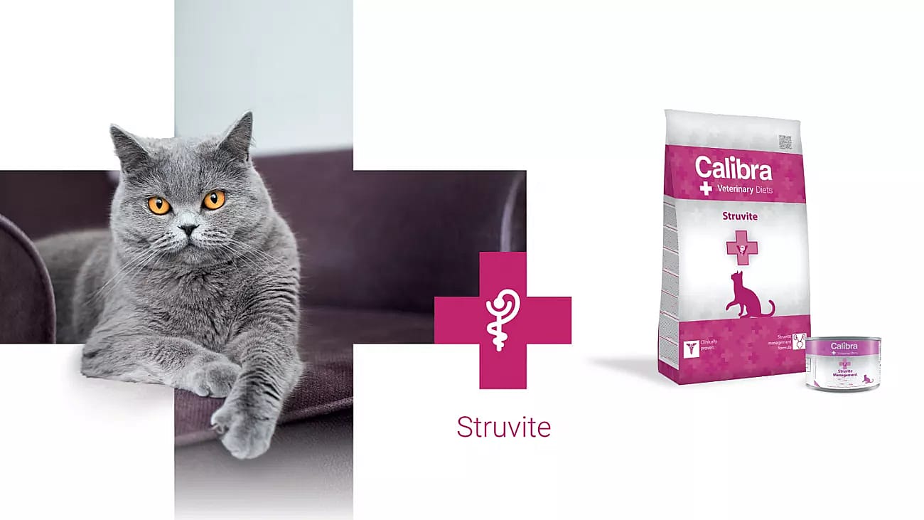 Calibra Cat Veterinary Diets Struvite
