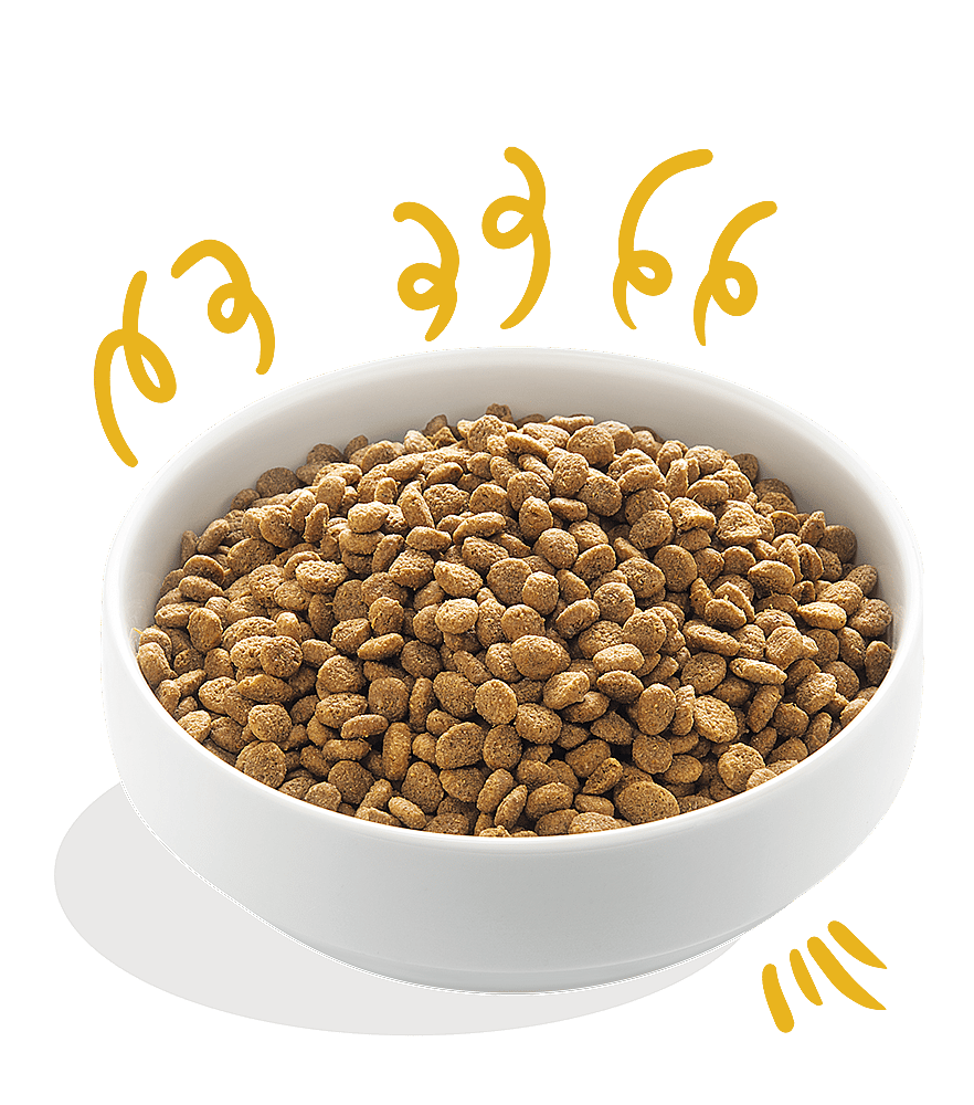 Edgard & Cooper Adult Hondenvoer Biologisch Verse Kalkoen en Kip