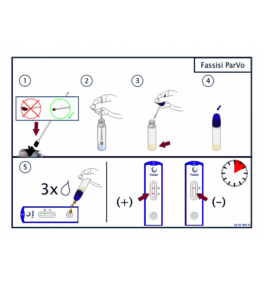 Fassisi Parvo Ontlasting Sneltest Hond Kat