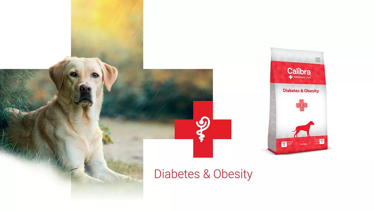 Calibra Dog Veterinary Diets Diabetes/Obesity