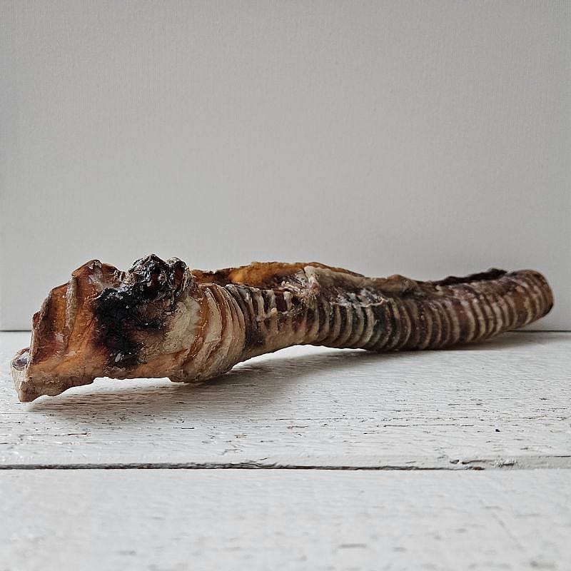 Dierapotheker Luchtpijp Rund Snack Hond 25 cm