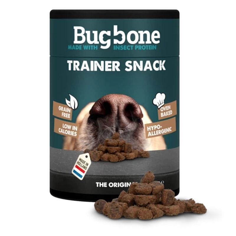 Bugbone Trainer snack van insecteneiwit (ca. 160 stuks) Hond