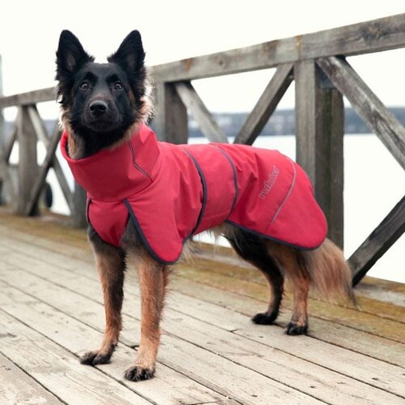Rukka Windy Thermal Jacket Softshell Jas Hond Rood Maat 40