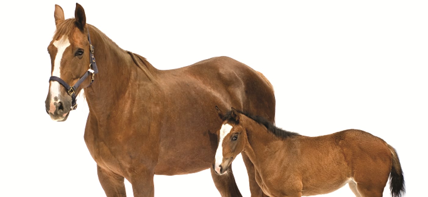 4f9d6b9d3443f68479d46161883e330e