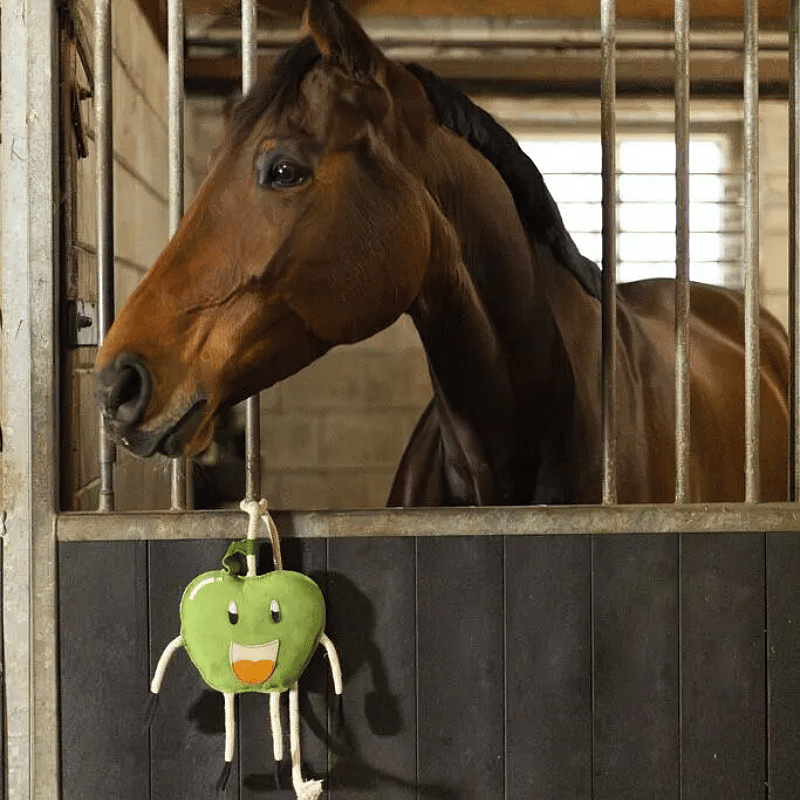 Excellent Horse Foodie Friends Paard Appel