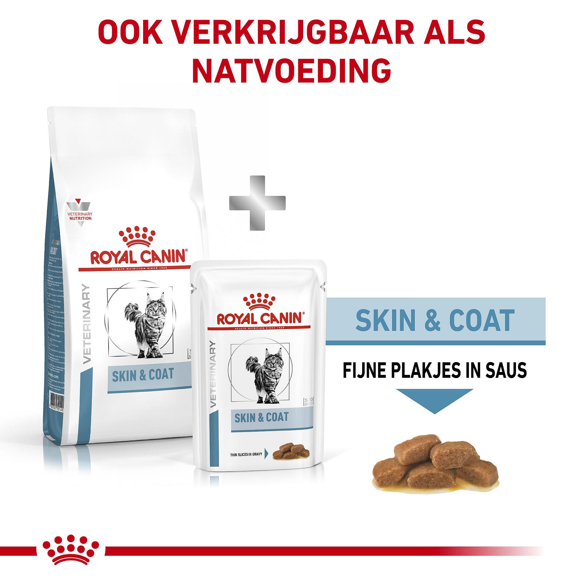 Royal Canin Skin & Coat Kat