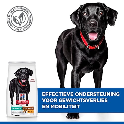 Hill's Science Plan Perfect Weight & Active Mobility Large Breed Adult Hondenvoer met Kip 12 kg
