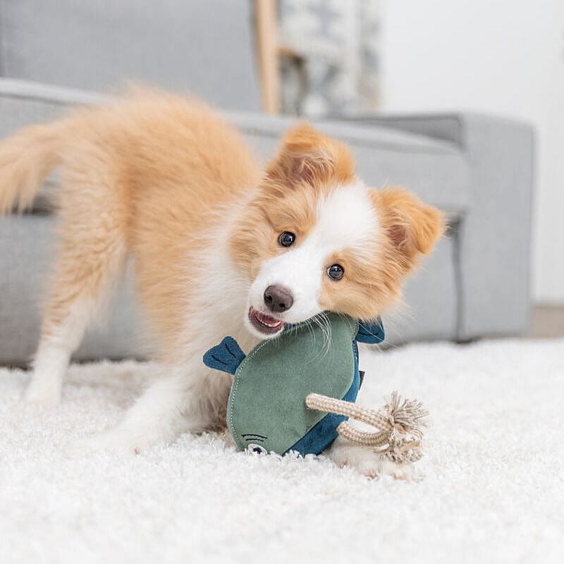 Trixie Vis Leer Met Touw Hond