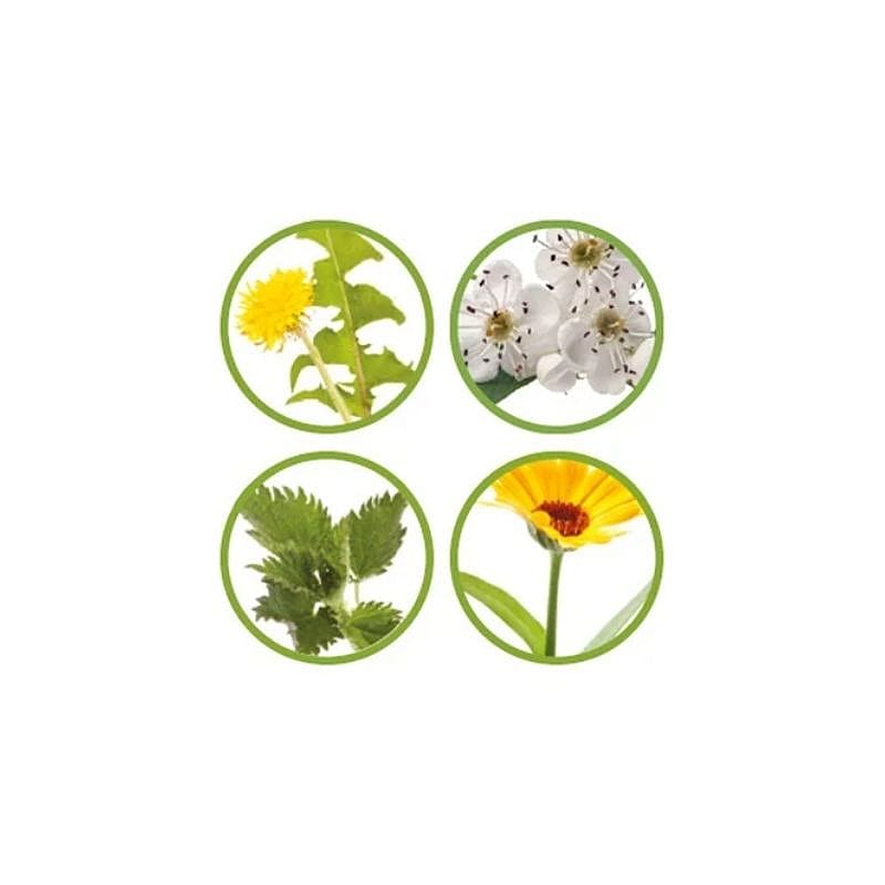 Pavo Dailyfit Paard 4.5 kg