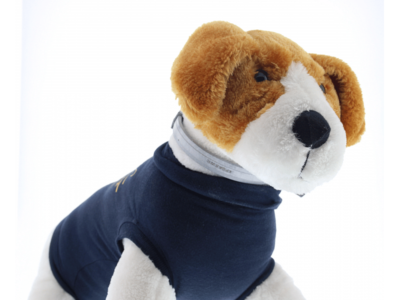 Seresto Halsband Hond: Vlooien en Teken Bescherming - 7 tot 8 maanden - Geurloos & Waterbestendig