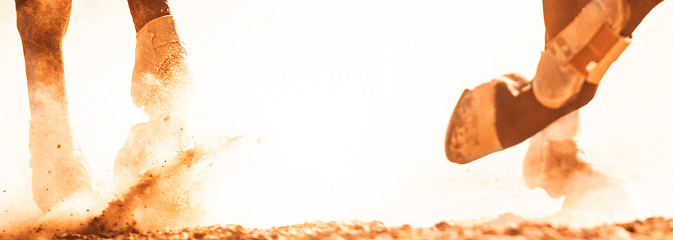 f8df4b902f08424f4281041ba678eec2