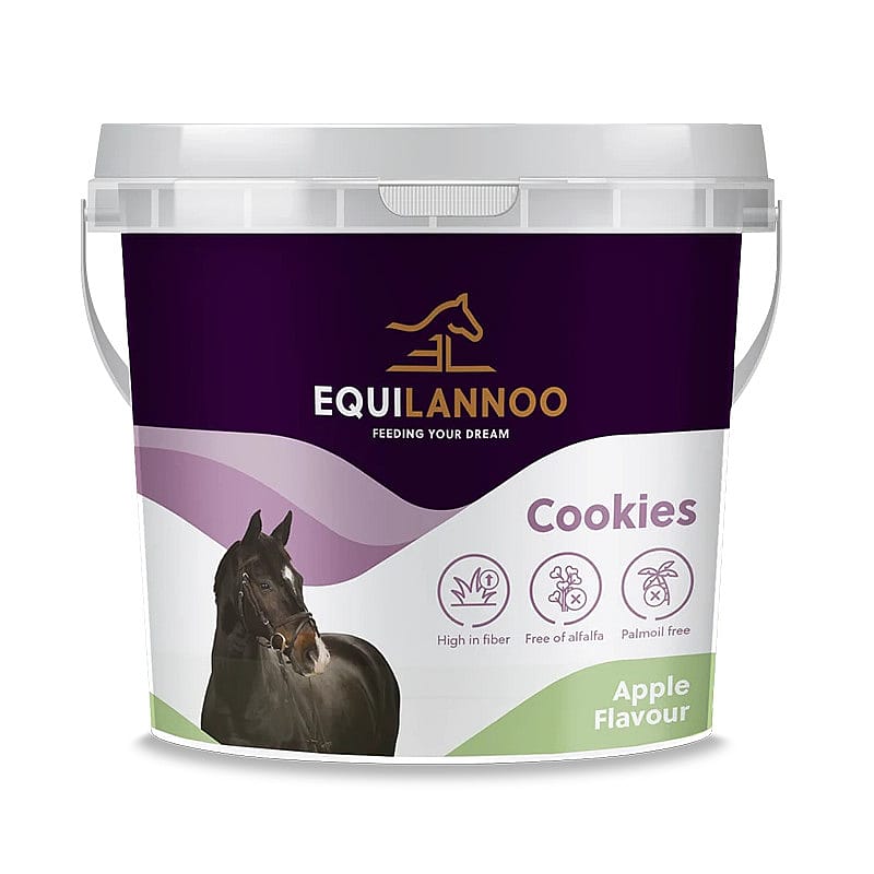 Dier, Paard, Zoogdier