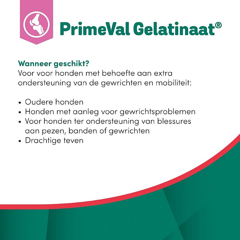 Primeval Gelatinaat Hond