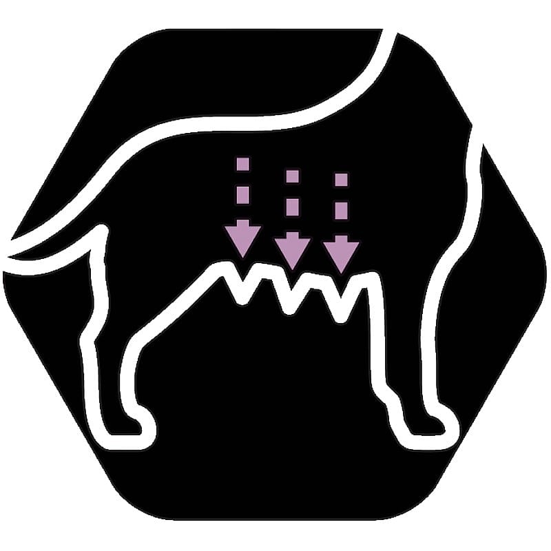 Purina Pro Plan All Sizes Adult Performance Hondenvoer 14 kg