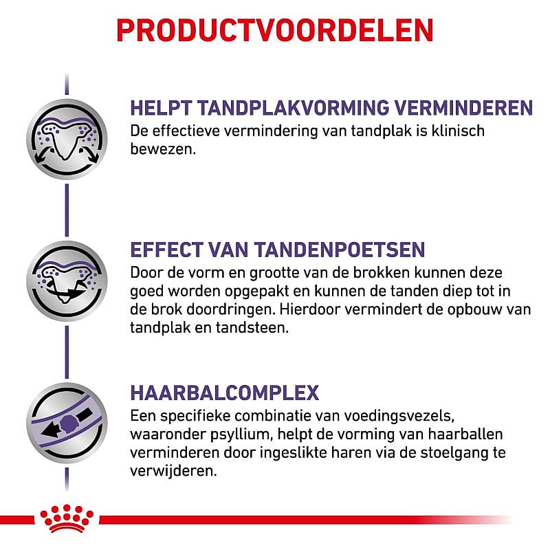 Royal Canin Dental Kat