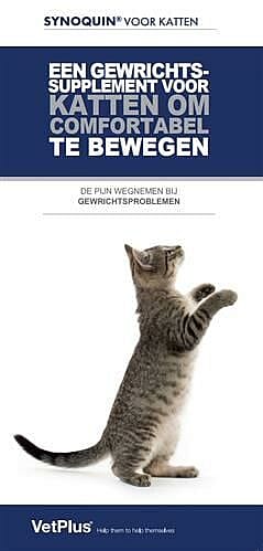 Vetplus Synoquin EFA Gewrichten Kat 90 capsules